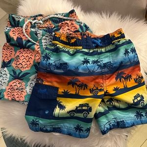 Set of 2, Boys 4T Swim Trunks